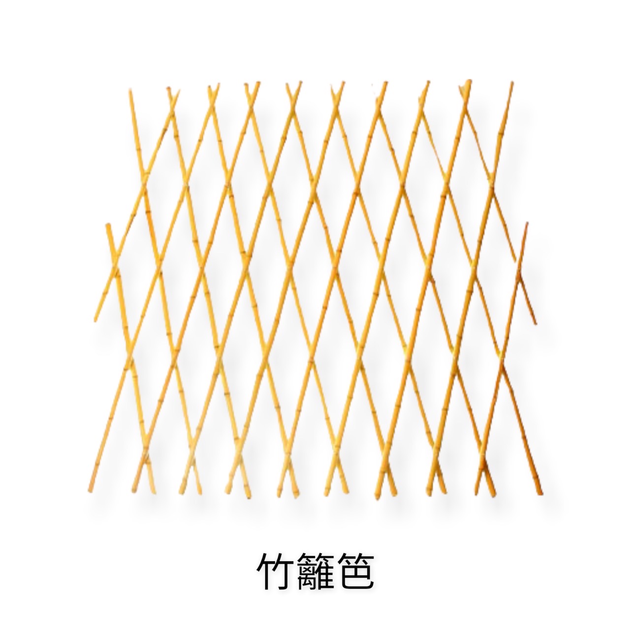 園藝相關用品/支架.育苗用品/魔力紅竹籬笆