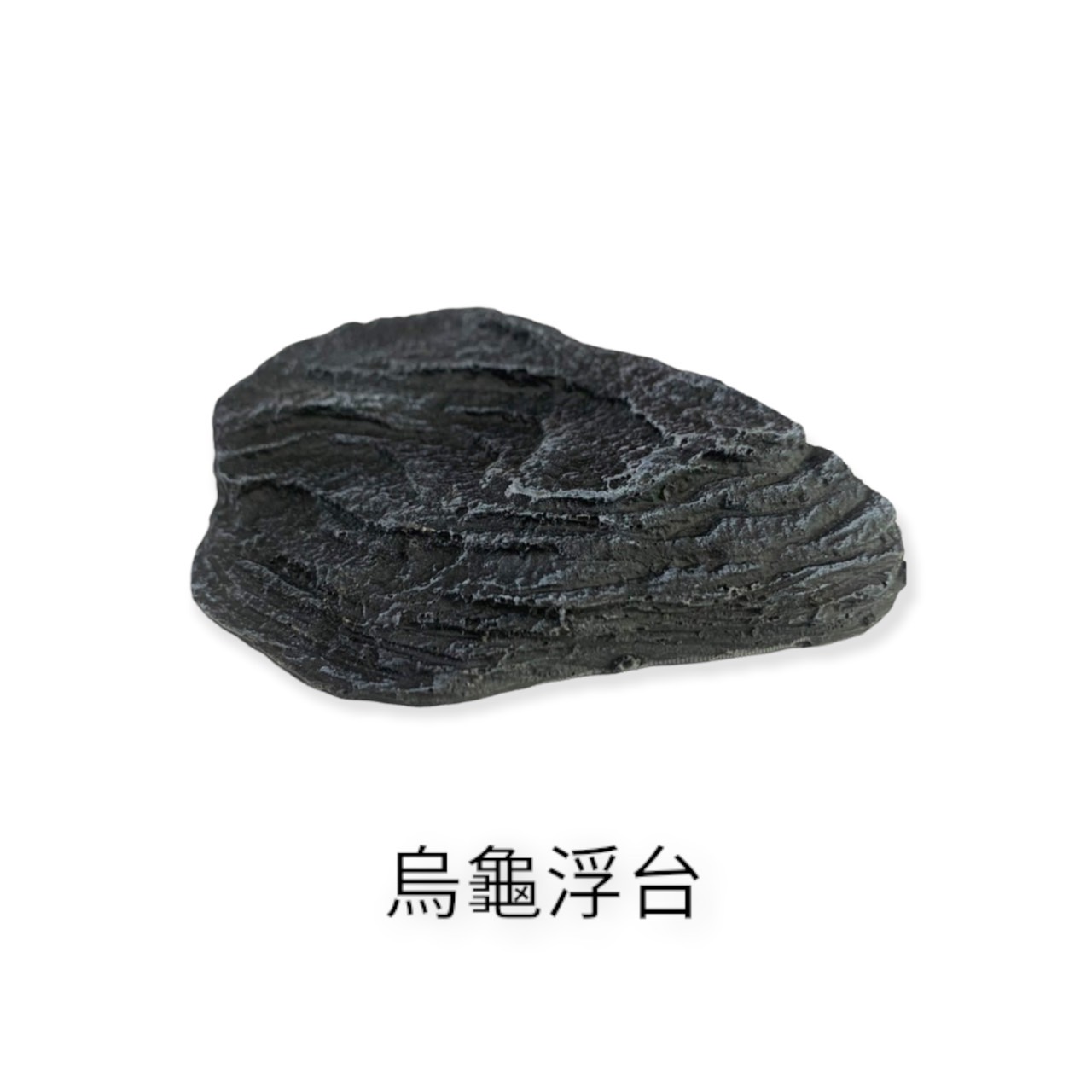 水族用品、魚／烏龜飼料/仿真草.飾品/烏龜相關飾品