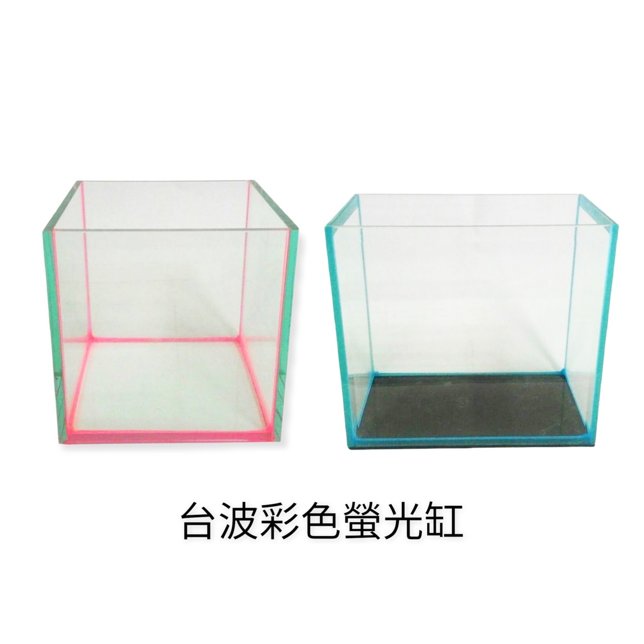 水族用品、魚／烏龜飼料/玻璃魚缸.圓球/台玻-彩色螢光缸系列